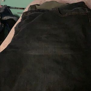 Lane Bryant jean shorts